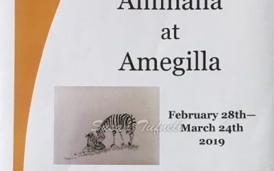 Animalia at Amegilla