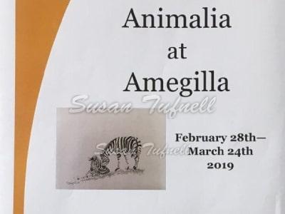 Animalia at Amegilla